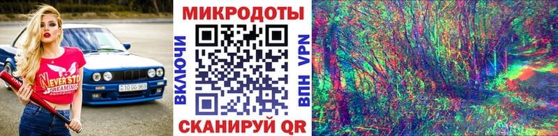 купить наркоту  Челябинск  Псилоцибиновые грибы Psilocybe 